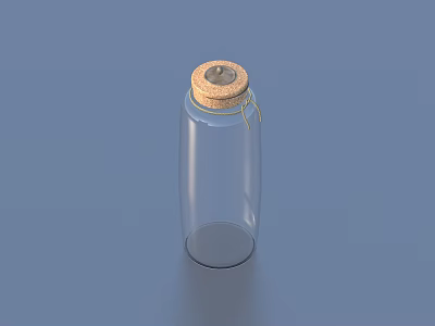 Clear Transparent Glass Bottle With Natural Cork Stopper And String Detail 3d model