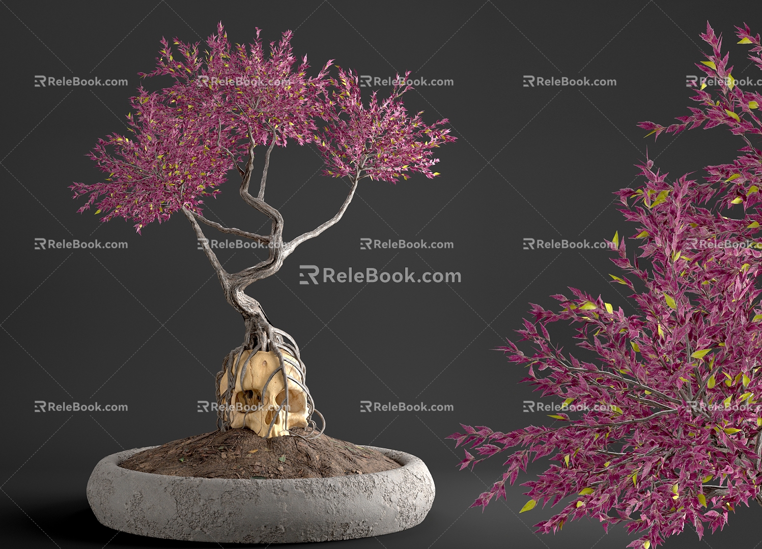 Bonsai Plant 02 3d model