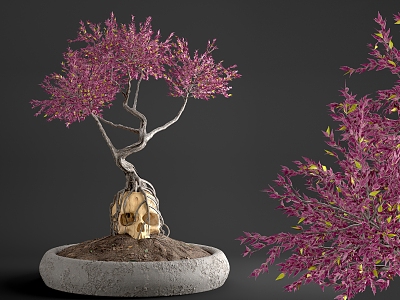 Bonsai Plant 02 3d model