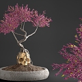 Bonsai Plant 02 3d model