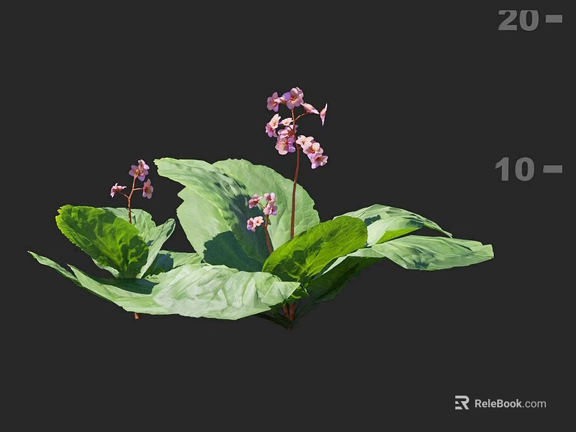 Vibrant Garden Flowers With Green Leaves And Pink Blooms For Landscaping 3d model 