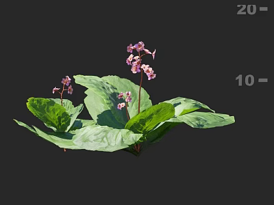 Vibrant Garden Flowers With Green Leaves And Pink Blooms For Landscaping 3d model