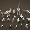 Various Animal Skeleton Models Including Giraffe Elephant Dinosaur And Bird 3d model