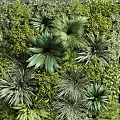 Lush Greenery Wall With Various Plants And Wooden Elements