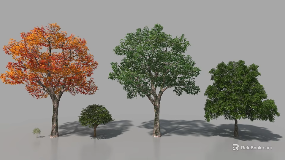 Diverse Arbor Trees With Autumn Orange Red Leaves And Lush Green Foliage In Landscape 3d model 