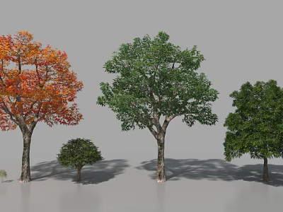 Diverse Arbor Trees With Autumn Orange Red Leaves And Lush Green Foliage In Landscape 3d model