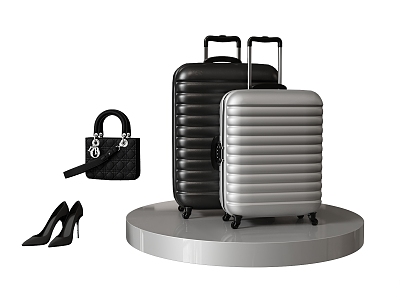 Modern Luggage Case Combination Bag Shoes 3d model