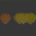 Three Leafless Trees With Gray Gradient Background And Ground Reflections