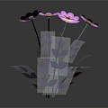 Four Pink Flowers With Yellow Centers And Purple Leaves On Stems Against Dark Background