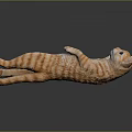 Orange Tabby Cat Lying On Back With Paws Up On Smooth Gray Surface 3d model
