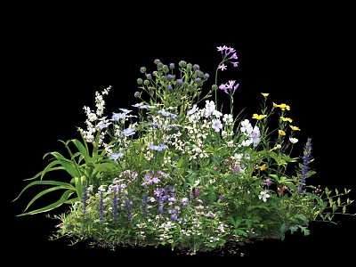 Colorful Garden Shrub With Purple White And Yellow Blooms And Green Leaves 3d model