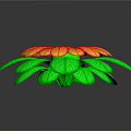 Vibrant Decorative Flowering Plant with Red and Yellow Petals and Green Leaves