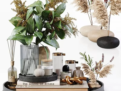 Stylish Decorative Ornament Set With Green Plants Glass Vases Candles Books And Dried Pampas Grass 3d model