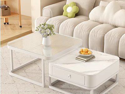 Modern White Coffee Tables with Floral Vase Fruit Tray and Books in Cozy Living Room 3d model