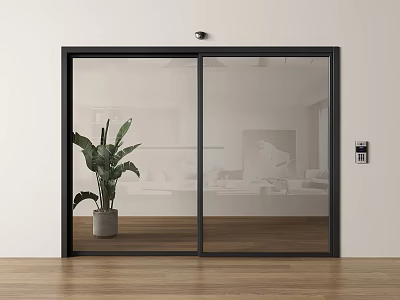 Sliding Glass Door With Black Frame Indoor Plant And Wooden Floor Interior 3d model