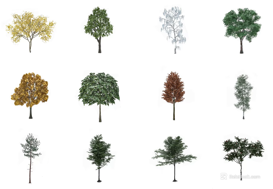 Various Arbor Tree Varieties Showcasing Different Leaf Colors And Shapes 3d model