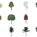Various Arbor Tree Varieties Showcasing Different Leaf Colors And Shapes 3d model