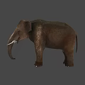 Realistic Brown Elephant With Ivory Tusks And Detailed Textured Skin