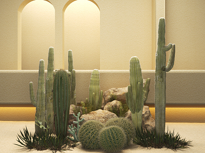 Modern Cactus Landscape 3d model