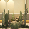 Modern Cactus Cactus Landscape 3d model