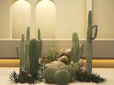 Modern Cactus Bonsai Plants with Small Succulents Rocks and Arched Window for Indoor Decor 3d model