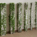 Green Ivy Covered Columns In Interior With White Wall And Wooden Floor