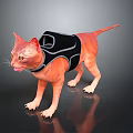 Orange Cat Wearing Black Vest Standing And Licking Tongue On Dark Reflective Surface