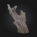 Decorative Dry Tree Trunk With Natural Rough Texture On Dark Background 3d model