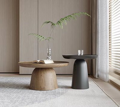 Round Wooden And Black Coffee Tables In Modern Interior With Green Plant Vase Book Glass 3d model