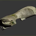 Detailed Close Up View Of Ancient Jawbone Organ With Curved Structure And Fossilized Teeth