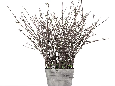 Bonsai Potted Plant in Metal Bucket with White Fluffy Buds and New Shoots 3d model