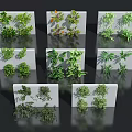 Green Indoor Plants On White Decorative Panels With Multiple Leaf Designs 3d model