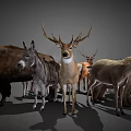 Various Horned Wild Animals Collection Including Deer Antelope Bull On Gray Background