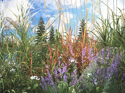 Colorful Flowering Shrubs With Purple Blooms And Orange Foliage Surrounded By Grass Under Blue Sky 3d model