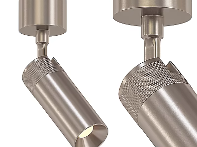 Sleek Stainless Steel Downlights and Spotlights with Adjustable Heads for Interior Lighting 3d model