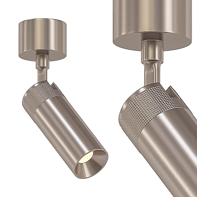 Sleek Stainless Steel Downlights and Spotlights with Adjustable Heads for Interior Lighting 3d model