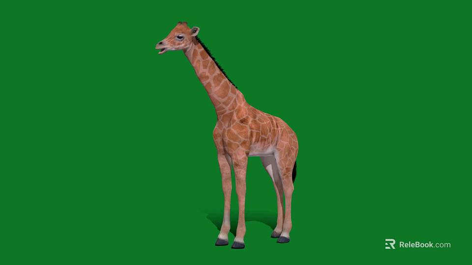 Reptile On Green Background Displaying Natural Stance And Detailed Physical Features 3d model 