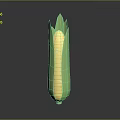 Fresh Sweet Corn With Green Husks And Yellow Kernels On Black Surface