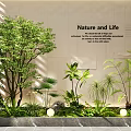 Indoor Landscape Featuring Nature and Life Theme Large Tree Various Green Plants Decorative Lights