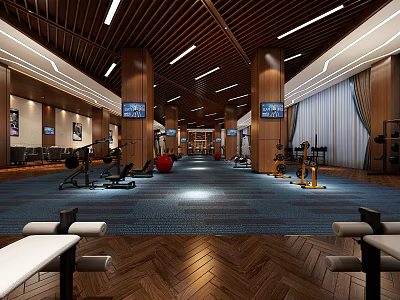 Spacious Fitness Gym Interior With Various Exercise Equipment And Wooden Ceiling Design 3d model