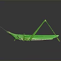 Green Praying Mantis With Slender Legs On Dark Reflective Background Surface 3d model