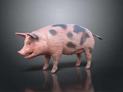 Spotted Pig With Black Spots Standing On Gray Background 3d model
