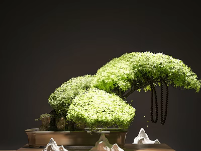 Green Bonsai Plants In Brown Container With White Decorative Rocks And Dark Background 3d model