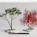Modern Tree Landscape Tree 3d model