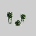 Decorative Hanging Plant Arrangement With Green Leaves Black Pots White Base And Metal Stands