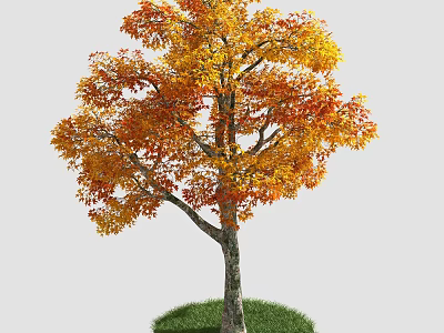Autumn Tree With Orange Yellow Leaves And Green Grass Around Trunk 3d model