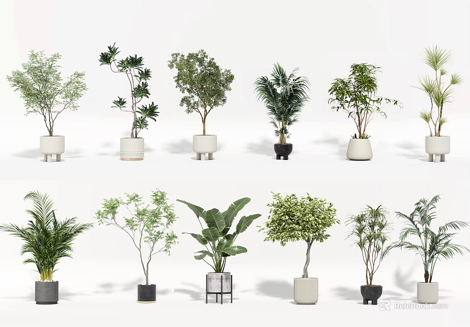 Various Bonsai Potted Plants in Different Style Planters on White Background 3d model 