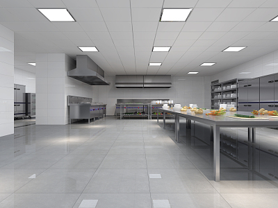 Modern Kitchen School Canteen model