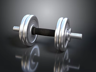 Stainless Steel Dumbbell With Weight Plates And Non Slip Grip For Fitness Training 3d model