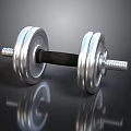 Stainless Steel Dumbbell With Weight Plates And Non Slip Grip For Fitness Training